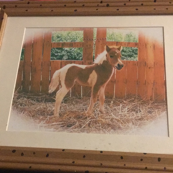 Picture - Picture 2 of 2